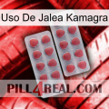 Kamagra Jelly Use 19